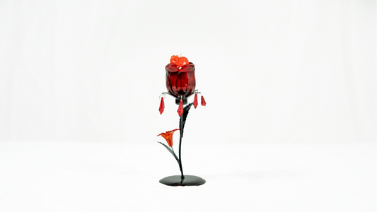 Paquete de regalo Día de la Madre